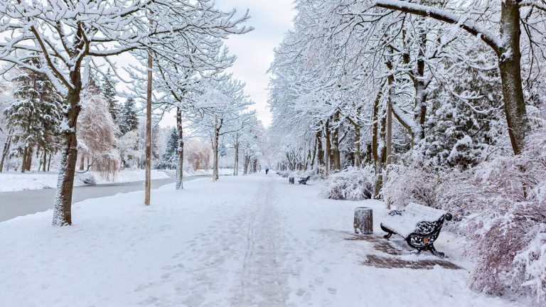58 palabras para falar da neve que, se cadra, non sabías