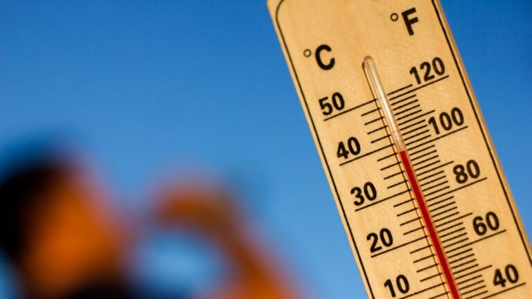 Da canícula ao tosteiro vocabulario galego para esta vaga de calor