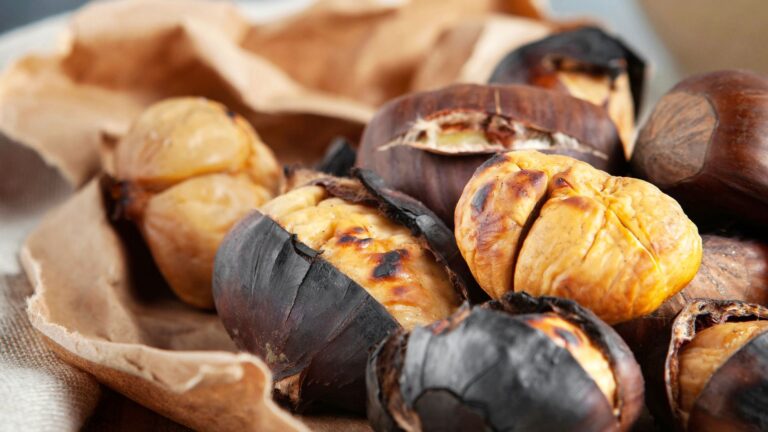 castañas e magostos en galego